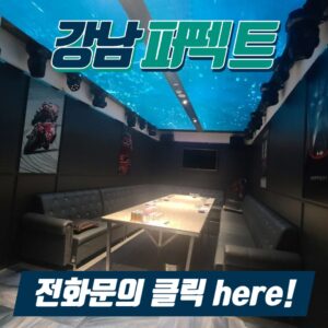 강남에서 놀자 놀때는 강남퍼펙트